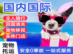 无锡国际宠物托运 【国